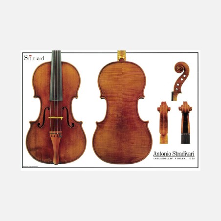 Poster Antonio Stradivari "Milanollo" violino 1728