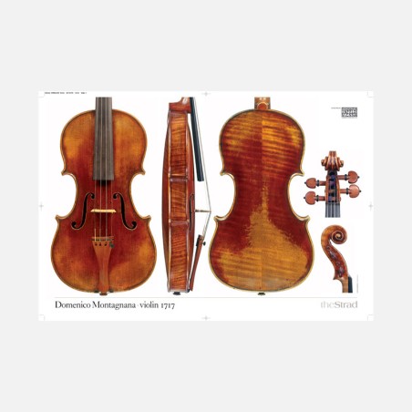 Poster Domenico Montagnana violino 1717