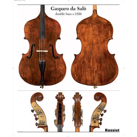 Poster Gasparo da Salò double bass 1550