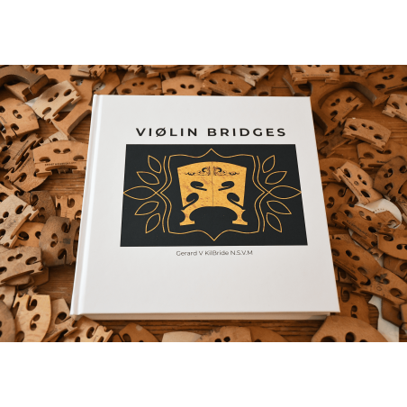 Violin Bridges Book I