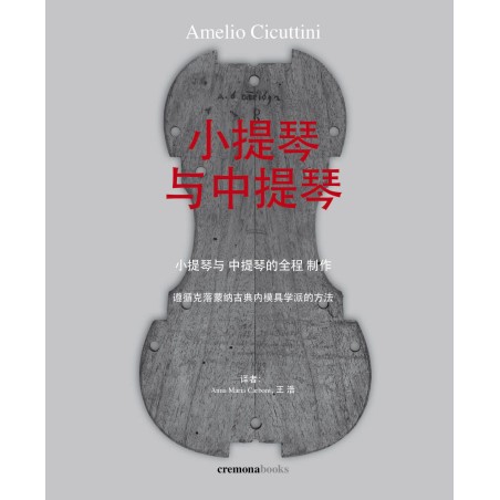 Il Violino e la Viola - Testo in cinese